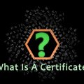 Certificate, Nigerian Army, President Buhari, Nigeria, Politics, Education, Elections, Kemi Adeosun, WAEC,