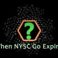 NYSC, Nigeria, Politics, Davido, Kemi Adeosun, Adebayo Shittu, Corpers, Law,