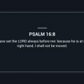 David, King David, Psalms, Psalm, God, Godly, Lord, Bible, Bible Reading, Chapter 16, Right,