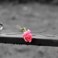 Misery, Love, Company, Feelings, Emotion, Friends, Relationship, Family, Sadist, Sad, Unhappiness, Gloomy, Mental,