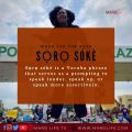 Soro Soke, End Sars, #EndSARS, Protest, Revolution, Police reform, Nigeria, President Buhari, Segalink, Aisha Yesufu,