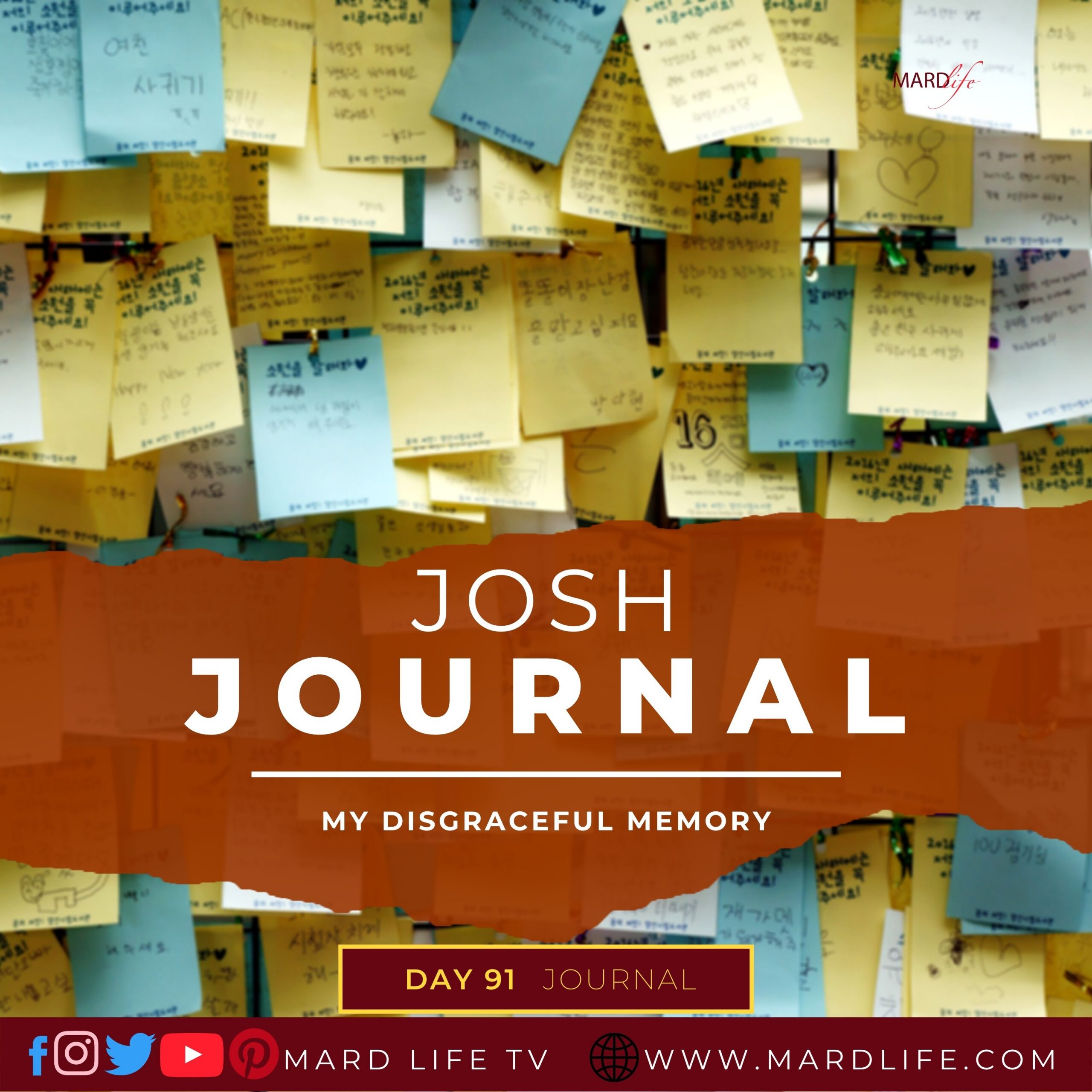 My Disgraceful Memory - Josh Journal