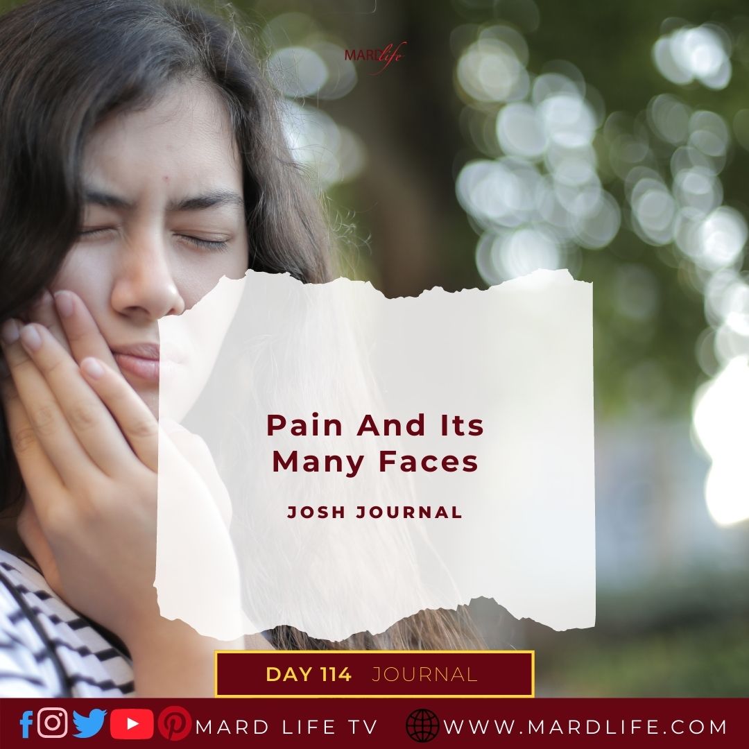 Pain And Its Many Faces - Josh Journal