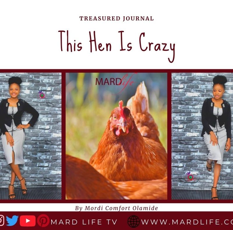 Hen, Crazy, Cleaning, Sanitation, Friends, Friendship, Relationship, Warning, Frenemies, Clean Up,