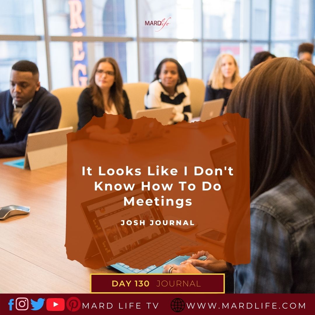 It Looks Like I Don't Know How To Do Meetings - Josh Journal