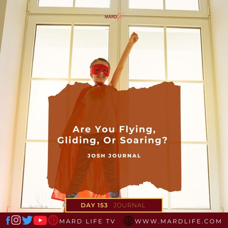 Flying, Soaring, Gliding, Semantics, Nomenclature, Experience, Bias, Concern, Advice, Interest,