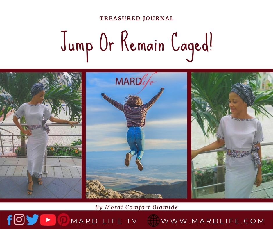 Jump Or Remain Caged! × TREASURED JOURNAL