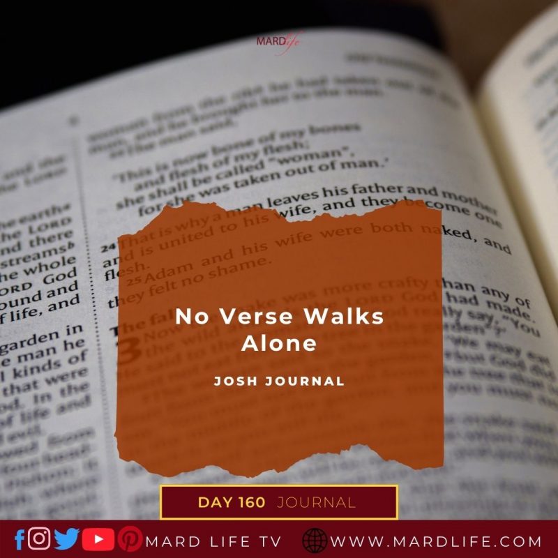 Verse, Bible Verse, Learning The Bible, Bible Quote, Memory Verse, Bible, Christian, Religious, Spiritual, Knowing God,